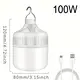 Bulb Camping Lantern